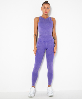 Leggings High Support Crop Top Seamless Yoga Suits